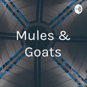 Mules - Goats - OGs