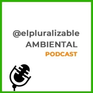 ENTREVISTAS - El Pluralizable ambiental