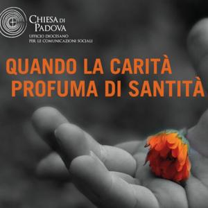 Quando la carità profuma di santità