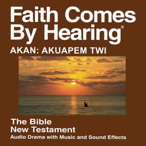 Akan: Akuapem Twi Bible (Dramatized)