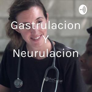 Gastrulacion Y Neurulacion