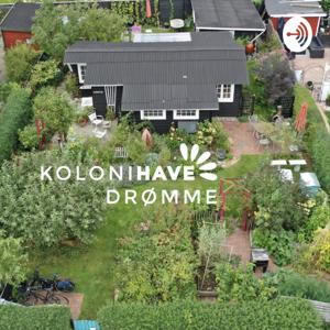 Kolonihavedrømme