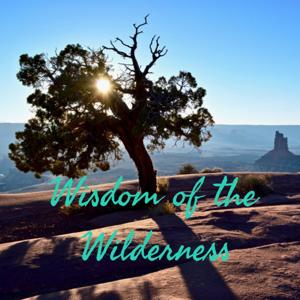 Wisdom of the Wilderness