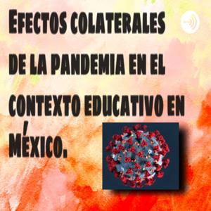 Efectos colaterales de la pandemia en la educacion