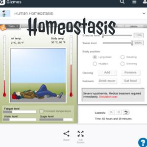 Homeostasis