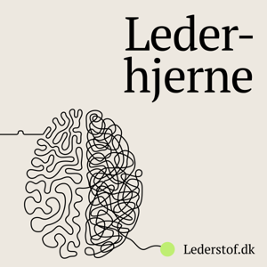 Lederhjerne by Lederstof.dk