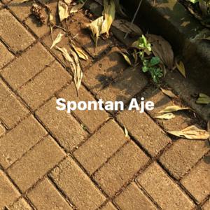 Spontan aje