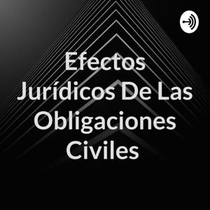 Efectos Jurídicos De Las Obligaciones Civiles