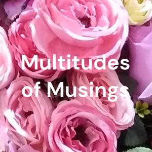 Multitudes of Musings