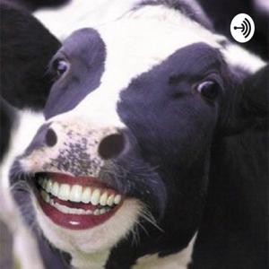 Health Safety And Wellbeing