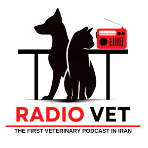 Radiovet