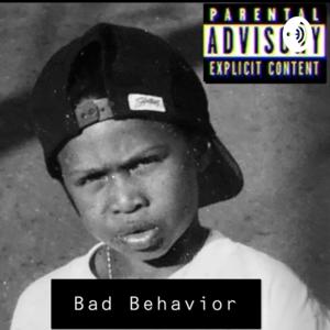 Bad Behavior