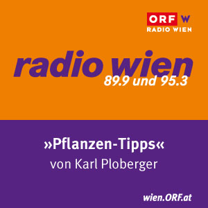 Radio Wien Pflanzentipps