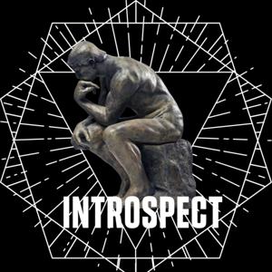 Introspect