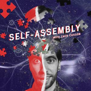 Self-Assembly