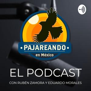 Pajareando en México