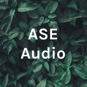 ASE Audio