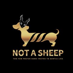 Not a sheep 掛羊頭賣狗肉