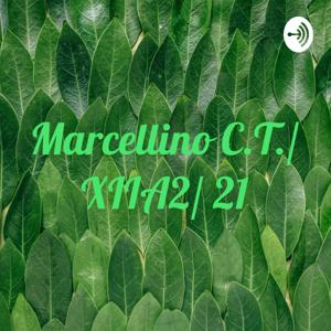 Marcellino C.T./ XIIA2/ 21