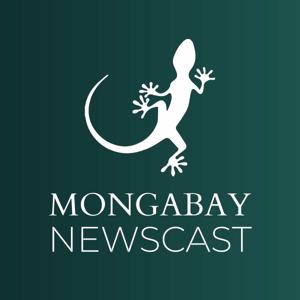 Mongabay Newscast