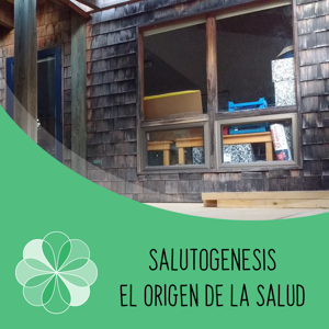 Salutogénesis, el origen de la salud