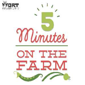 5 Minutes on the Farm by 5 Minutes on the Farm