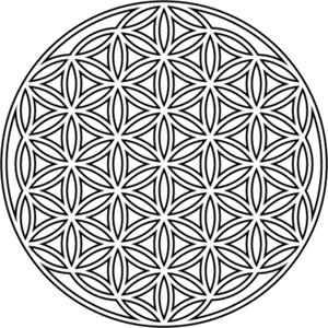 Conscious Conversations with Zeus