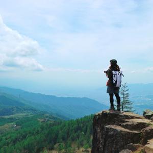 wellness journey