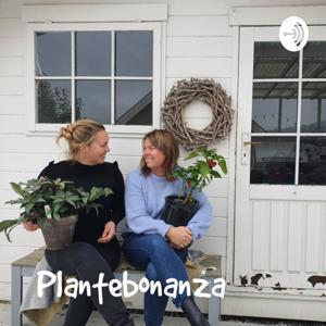 Plantebonanza