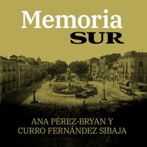 Memoria SUR