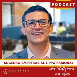 Sucesso Empresarial e Profissional com Inteligência e Prática