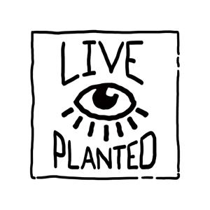 Live Planted- Practical Vegan Living