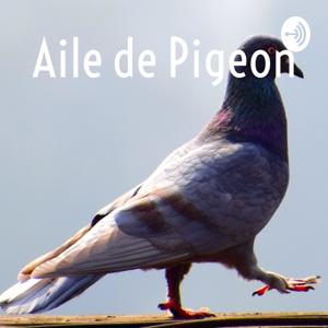 Aile de Pigeon