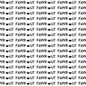 FawrOut Perspective