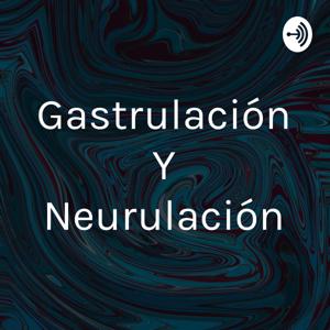 Gastrulación Y Neurulación