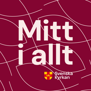 Mitt i Allt