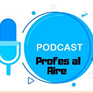 Programa Radial Profes Al Aire