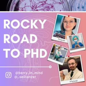 Rocky Road to PhD