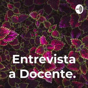 Entrevista a Docente.