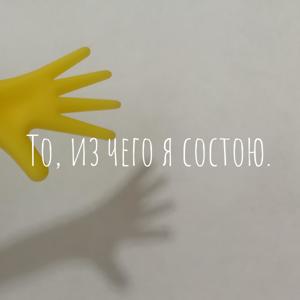 То, из чего я состою.