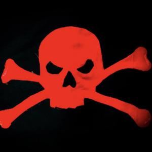 The Pirate Professor Podcast