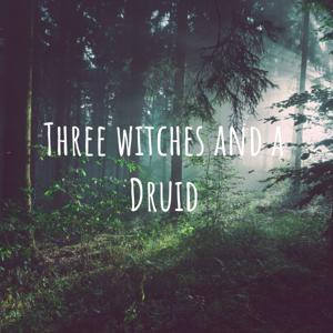 Three Witches and a Druid by Margo, Maeve, Gwen and Brian