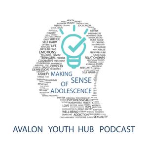 Making sense of Adolescence
