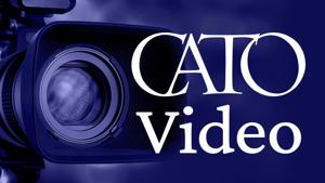 Cato Video