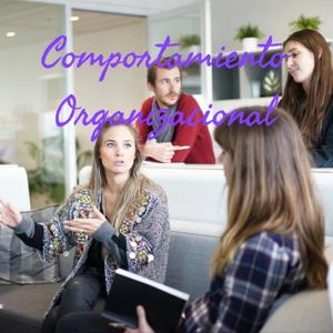 Comportamiento Organizacional