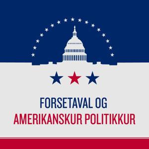 Forsetaval og amerikanskur politikkur