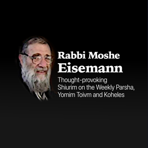 Rabbi Moshe Eisemann's Shiurim