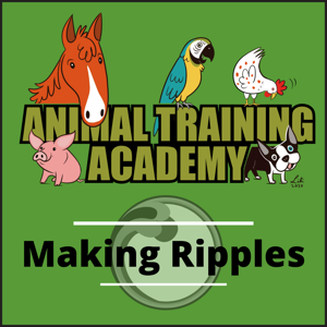 Animal Training Academy: Making Ripples by Ryan Cartlidge