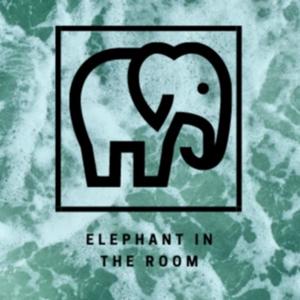 Elephant in the Room