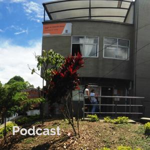 Experiencias organizaciones colegiadas del CDS El Raizal